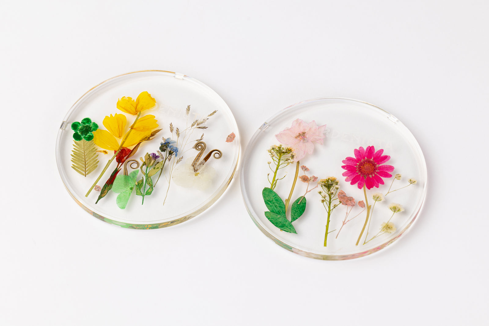Gardenista Flower Pressed Coasters