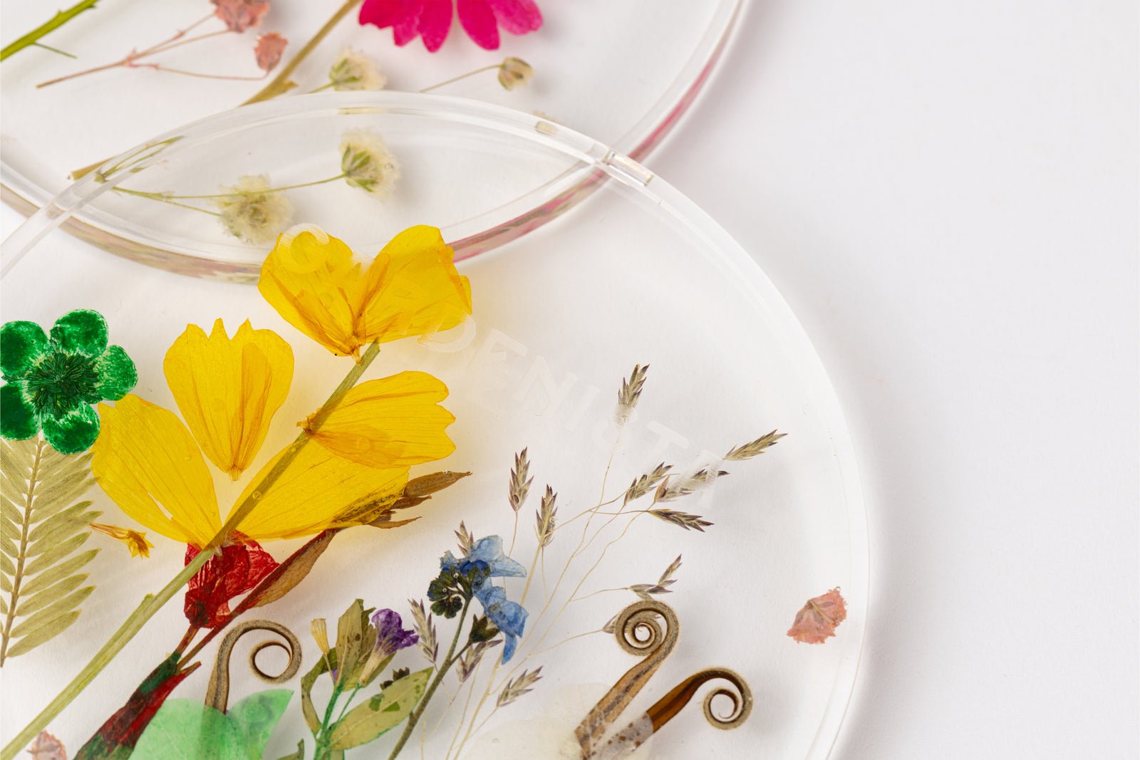 Gardenista Flower Pressed Coasters